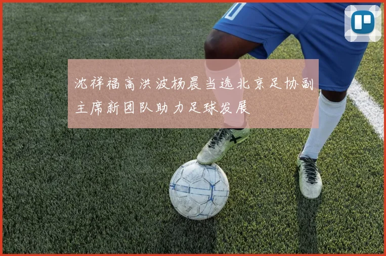 沈祥福高洪波杨晨当选北京足协副主席新团队助力足球发展