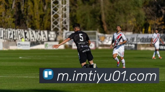 im体育平台生态图