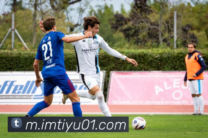 im体育APP 封面图